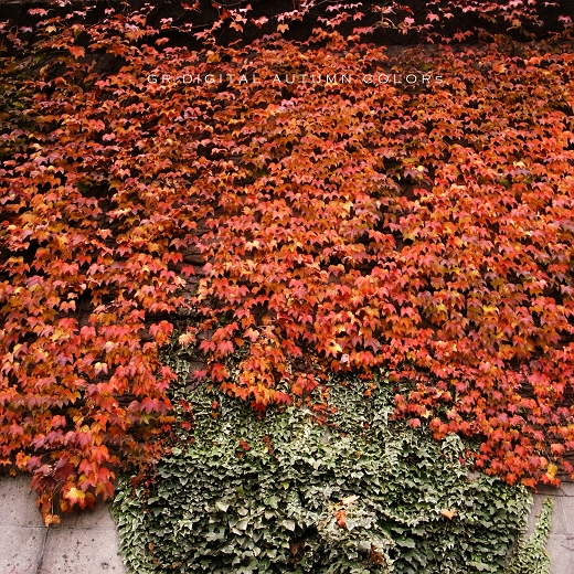 f0115475_21282381.jpg