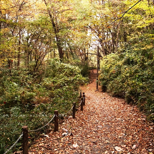f0115475_2129233.jpg