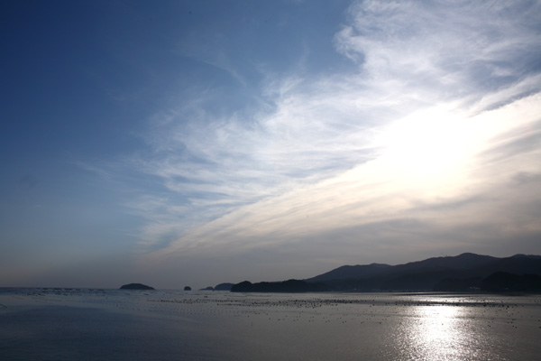 a0155278_22153437.jpg