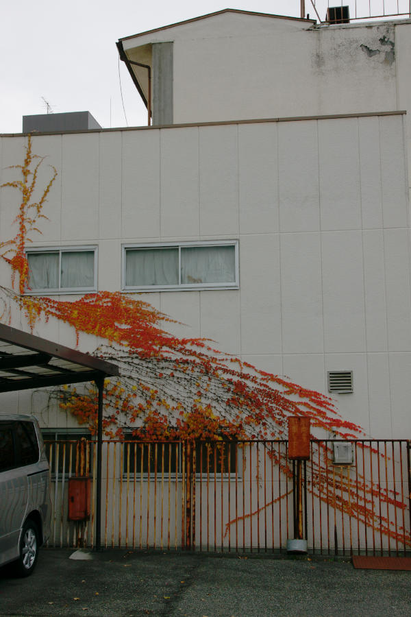 b0083779_23573948.jpg