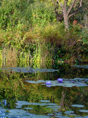a0105480_1625498.jpg