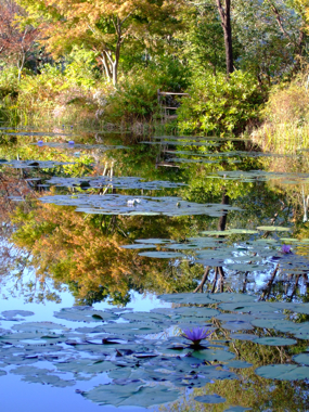 a0105480_1632066.jpg