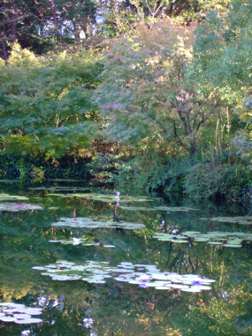 a0105480_1633711.jpg