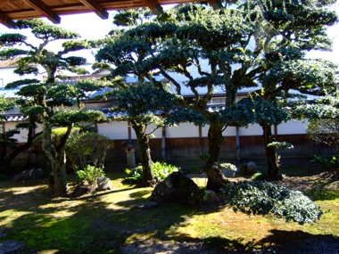 a0105480_19391416.jpg