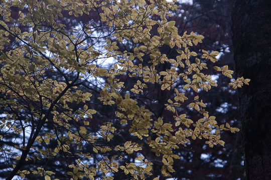 b0203588_18111451.jpg