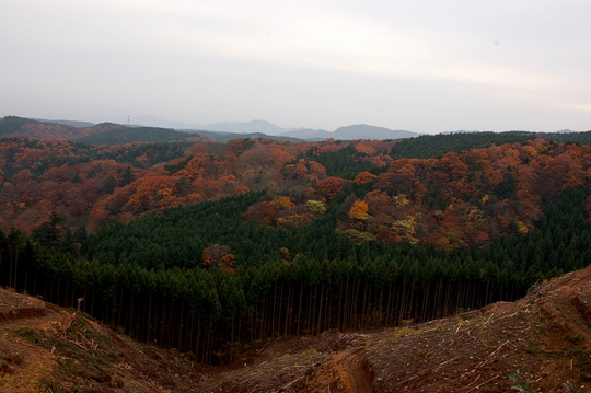 b0203588_18143021.jpg
