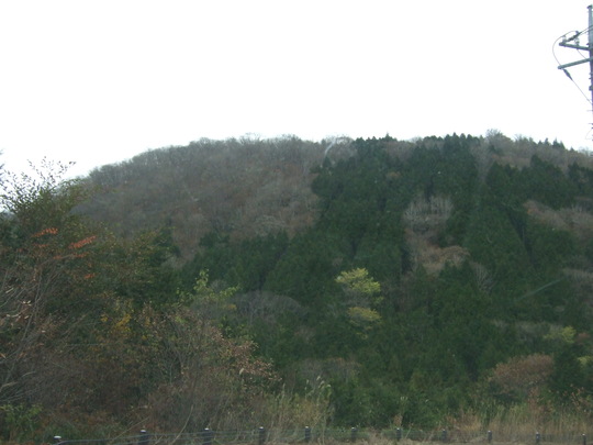 b0203588_1841937.jpg