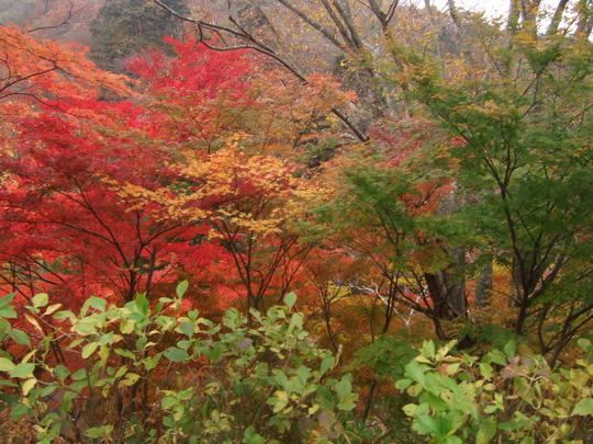 b0203588_18617.jpg
