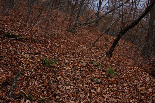 b0203588_1874257.jpg