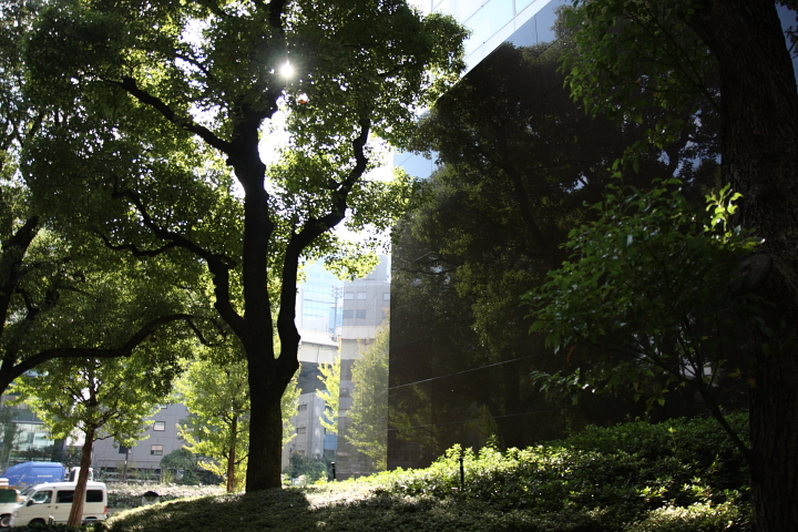 f0164989_641967.jpg
