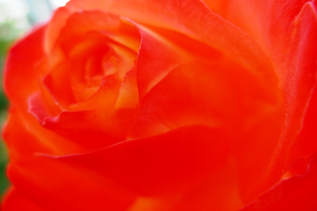 a0127090_9451210.jpg