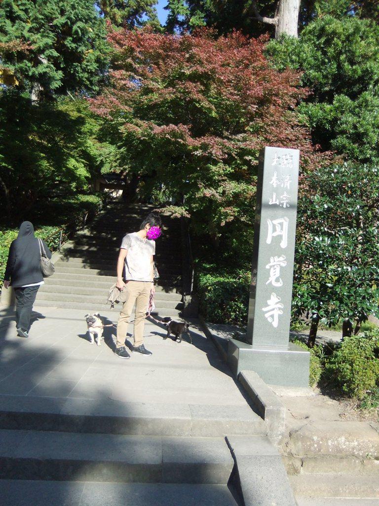 f0063791_21183259.jpg