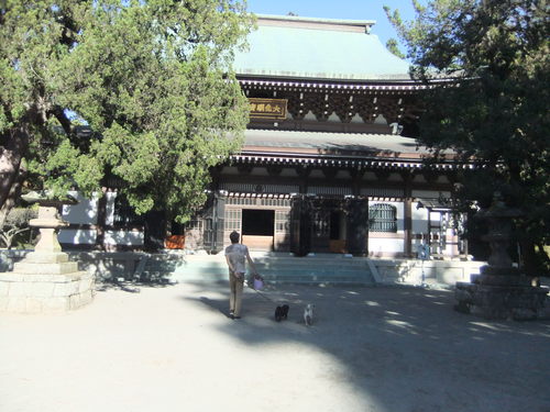 f0063791_21222939.jpg