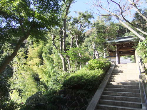 f0063791_21273198.jpg