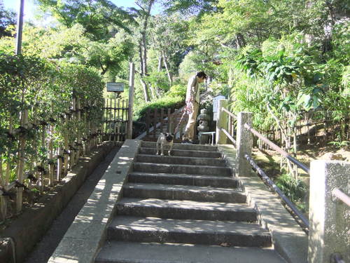 f0063791_2128395.jpg