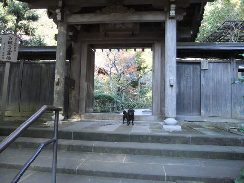 f0063791_21314158.jpg