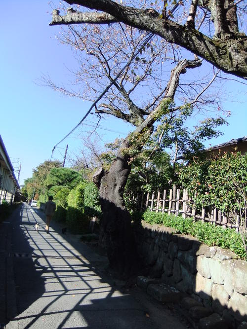 f0063791_2132155.jpg