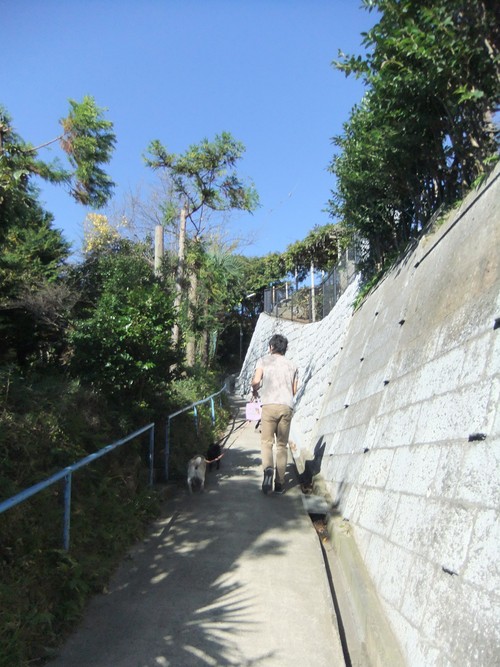 f0063791_2182866.jpg