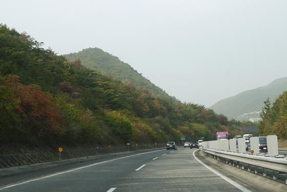 f0222692_21294412.jpg