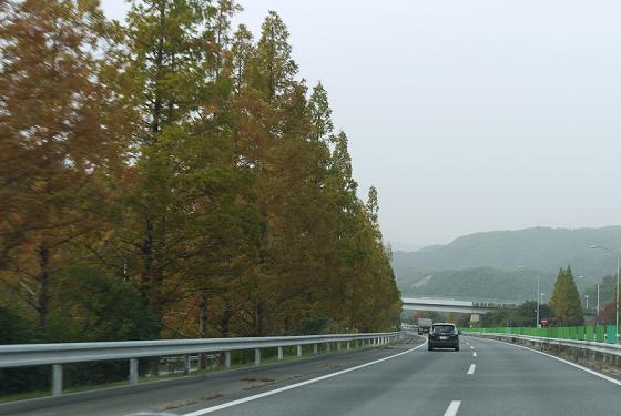 f0222692_21295933.jpg