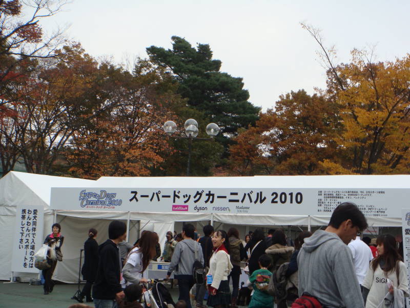 d0098295_23243136.jpg