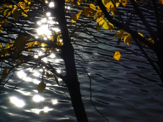 c0124998_17305557.jpg