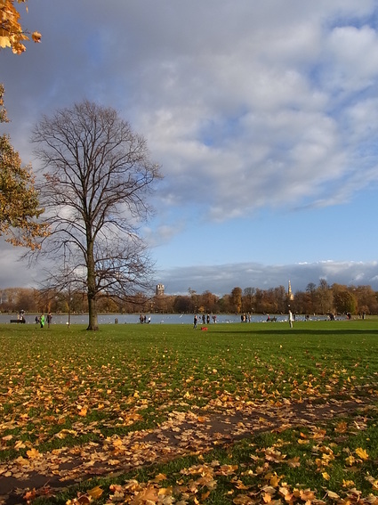 f0229399_100099.jpg