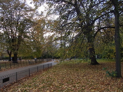 f0229399_99570.jpg