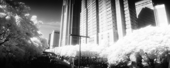 f0174201_14553224.jpg