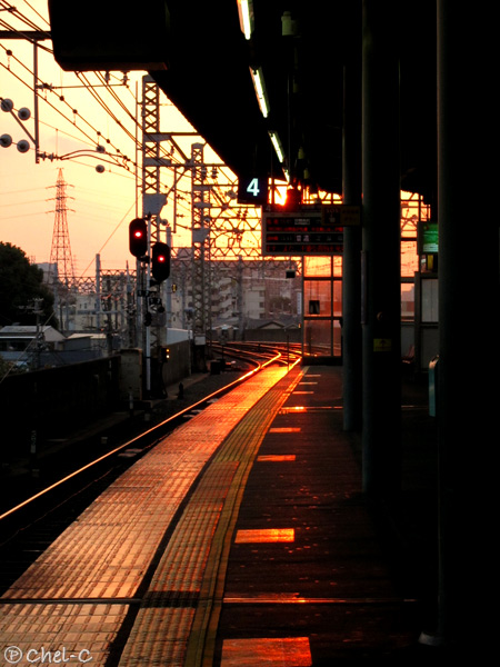 a0154706_18134740.jpg