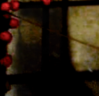 e0103408_1425630.gif