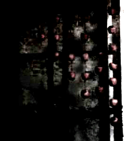 e0103408_14312451.gif