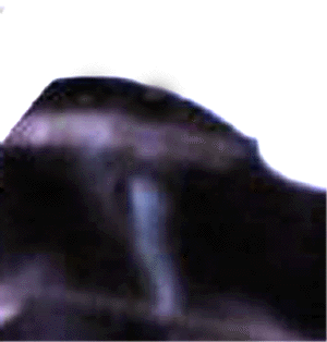 e0103408_18474389.gif