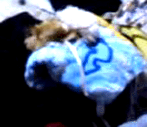 e0103408_23291642.gif