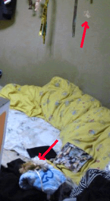 e0103408_2336815.gif
