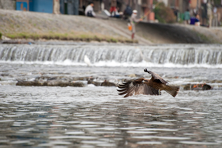 a0140914_22135749.jpg