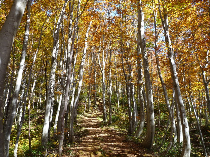 f0225414_154569.jpg