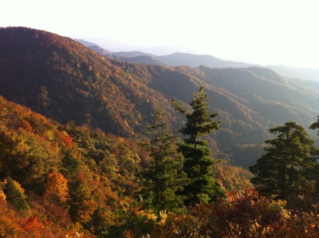 f0225414_1563784.jpg