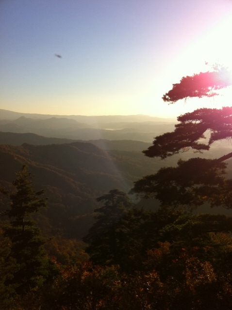 f0225414_1594672.jpg