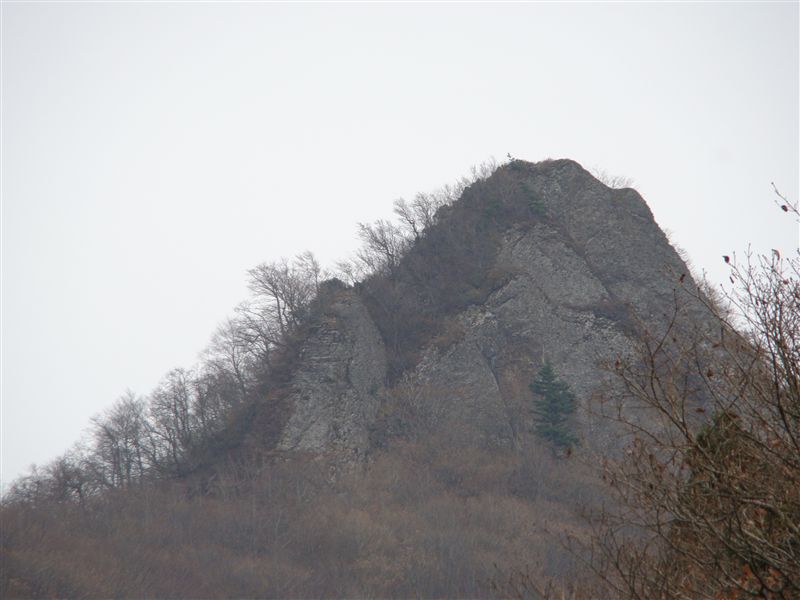 a0127015_18513786.jpg