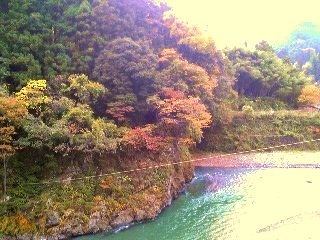 e0095517_1943494.jpg