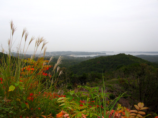 b0186119_1441572.jpg