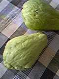 e0182926_158574.jpg