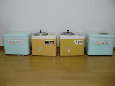 e0101828_911021.jpg