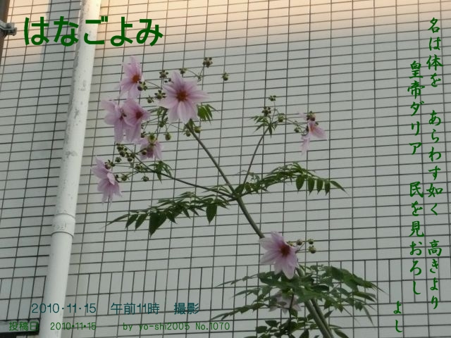 e0033229_19442353.jpg