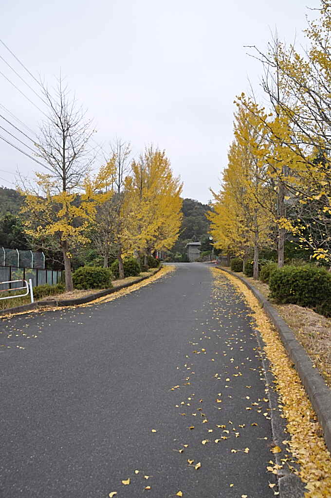 b0129533_22451975.jpg