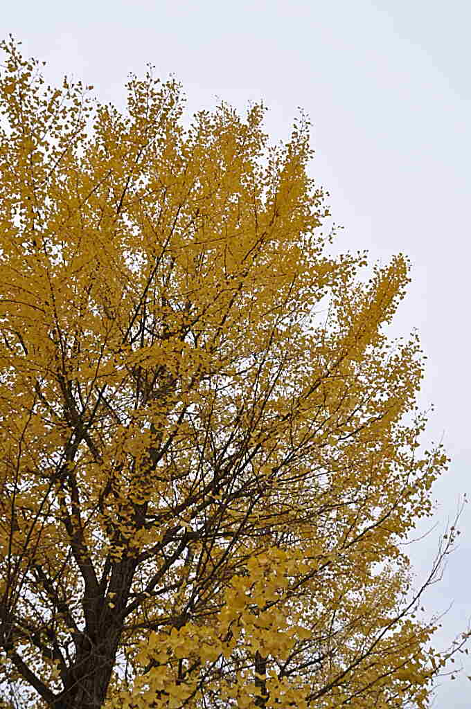 b0129533_22455878.jpg