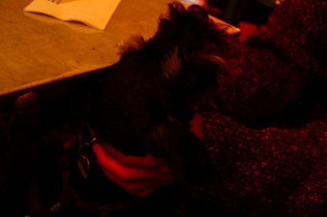 c0153740_343727.jpg