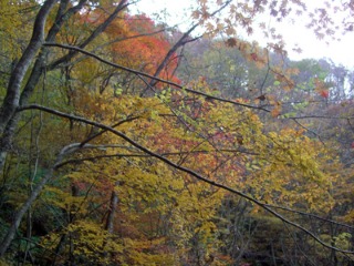 e0110940_12312110.jpg