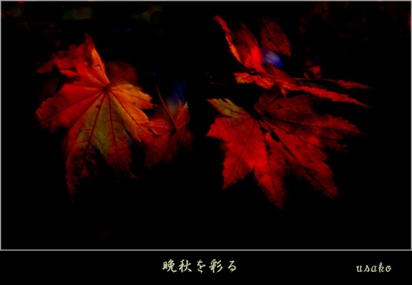 a0112747_9181775.jpg